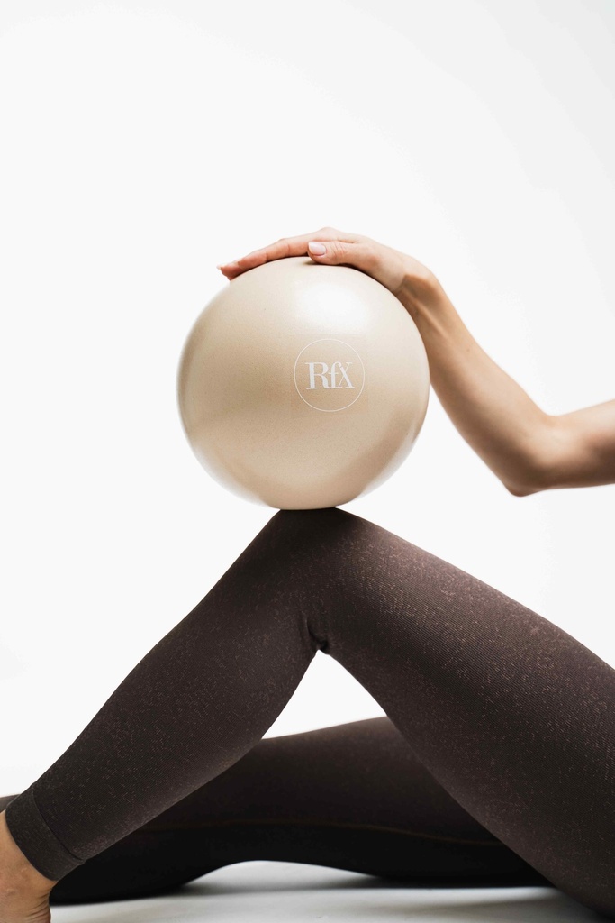 [RfX__RFX-ACC-BALBALL] RfX Balance Ball